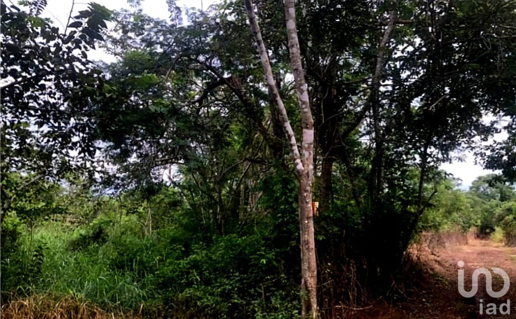 OPORTUNIDAD ÚNICA, 9.6 HECTÁREAS A 12 MINUTOS DE VALLADOLID ¡IDEAL PARA DESARROLLO O INVERSIÓN!