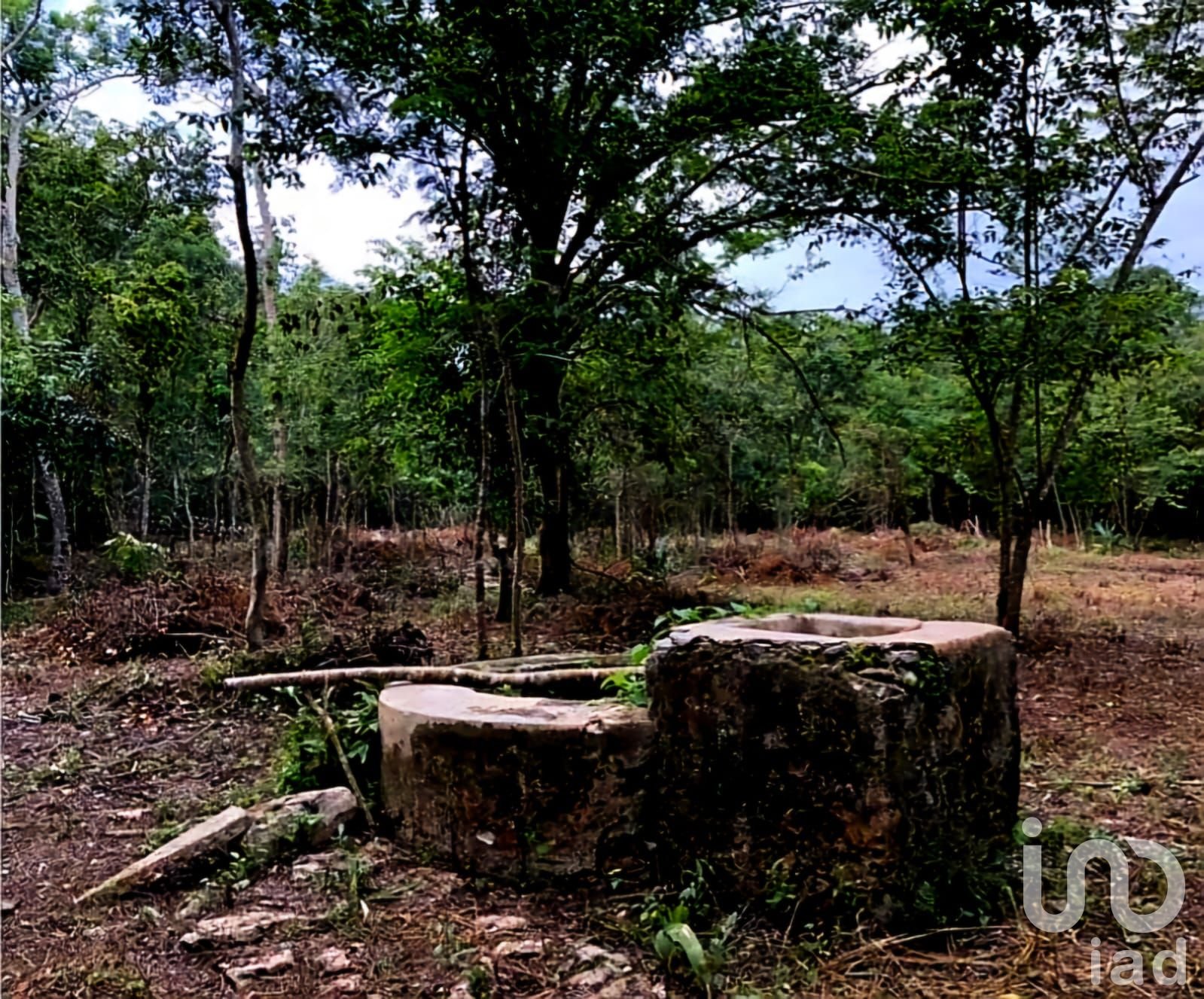 OPORTUNIDAD ÚNICA, 9.6 HECTÁREAS A 12 MINUTOS DE VALLADOLID ¡IDEAL PARA DESARROLLO O INVERSIÓN!