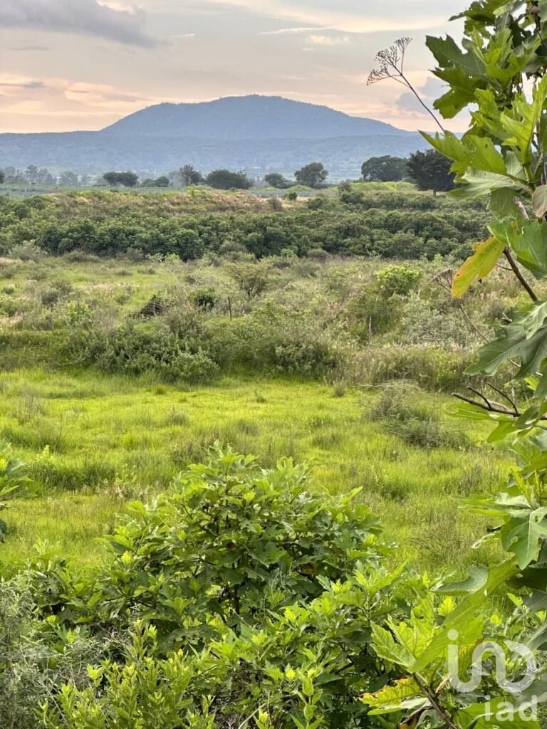 SE VENDE TERRENO SANTA CRUZ DE LA LOMA EN TLAJOMULCO DE ZUÑIGA JALISCO