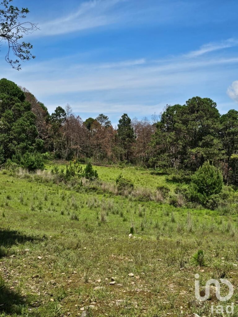 VENTA DE HERMOSO TERRENO EN BOSQUE OMITLAN DE JUAREZ
