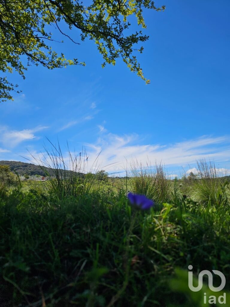 VENTA DE HERMOSO TERRENO EN BOSQUE OMITLAN DE JUAREZ