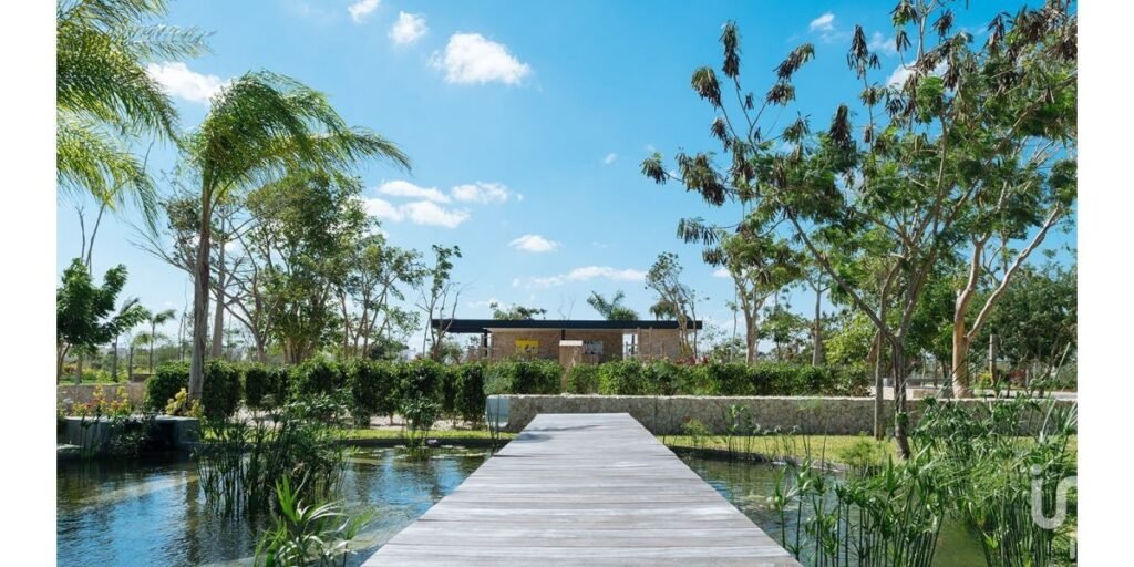 GRAN OPORTUNIDAD TERRENO EN PRIVADA ARBOREA RESIDENCIAL, YUCATAN