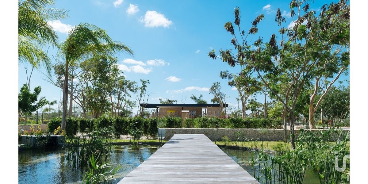 GRAN OPORTUNIDAD TERRENO EN PRIVADA ARBOREA RESIDENCIAL, YUCATAN GRAN OPORTUNIDAD TERRENO EN PRIVADA ARBOREA RESIDENCIAL, YUCATAN