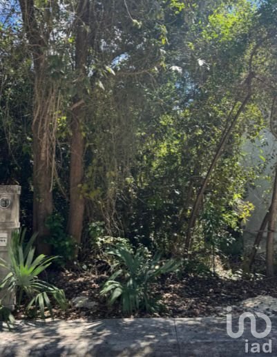 GRAN OPORTUNIDAD VENTA DE TERRENO ALDEA-HA, PUERTO MORELOS