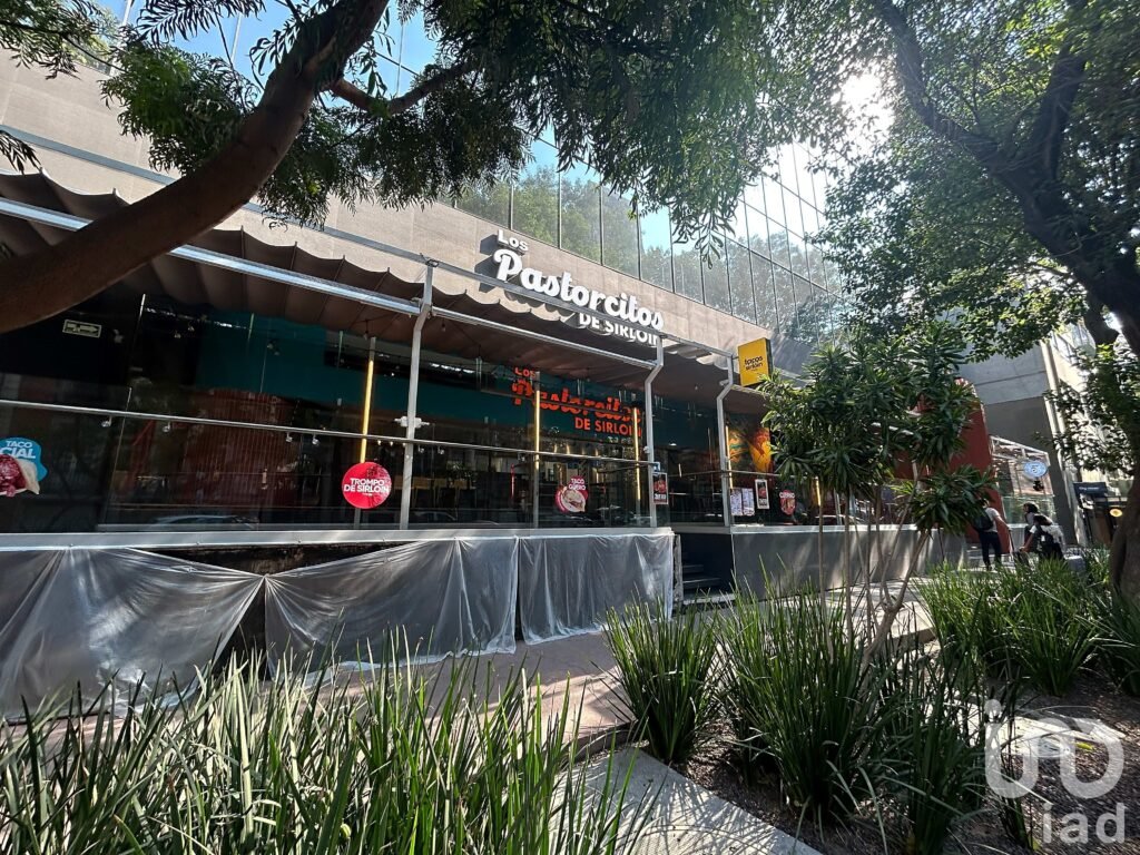 Renta Oficinas YAMA, Insurgentes #64 Oficina A-1509, Col. Juárez, Alc. Cuauhtémoc, C.P. 06500, CDMX