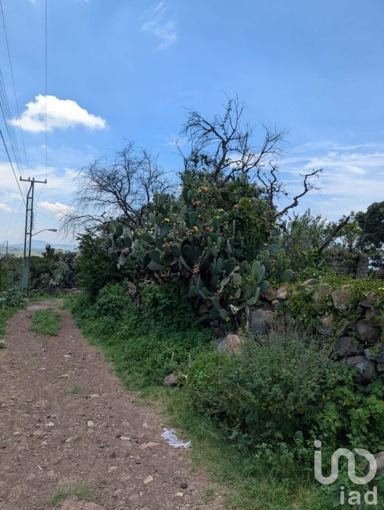 Terreno en venta, Amealco de Bonfil