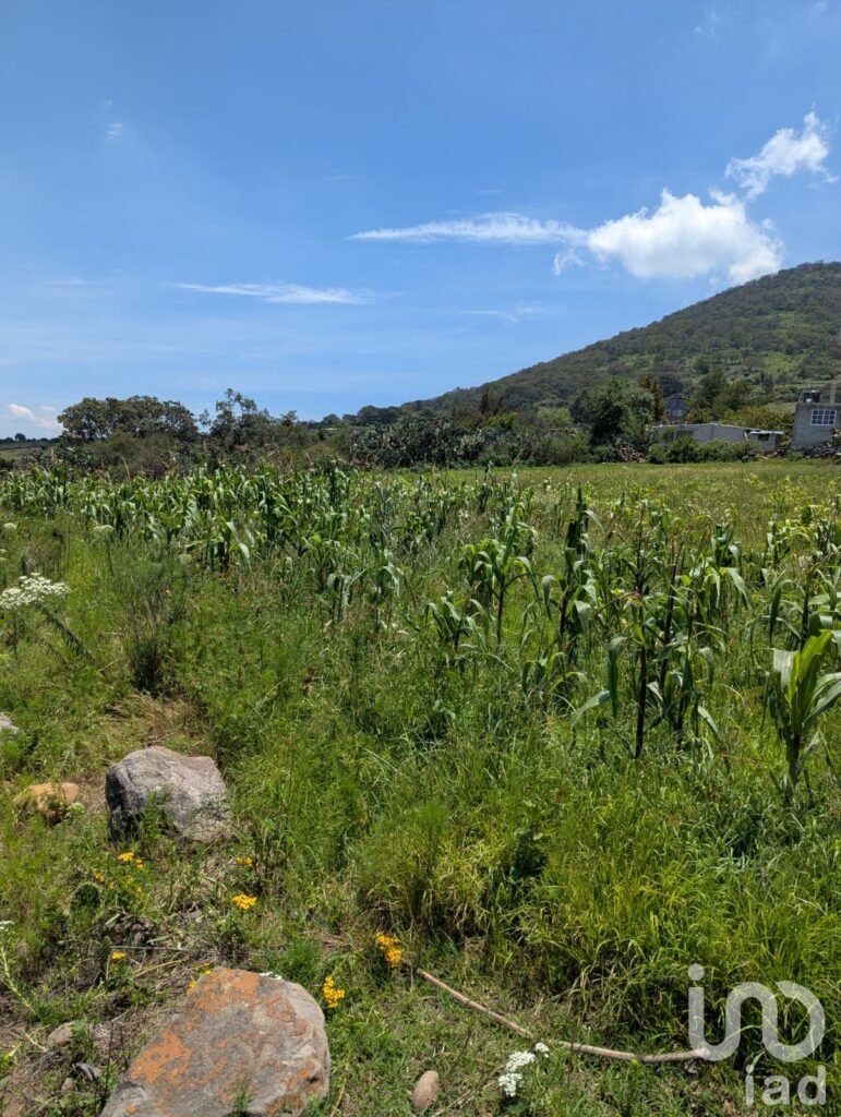 Terreno en venta, Amealco de Bonfil