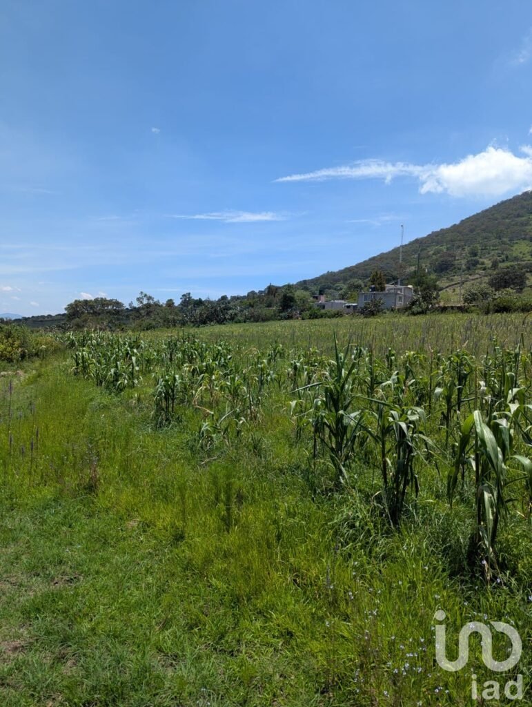 Terreno en venta, Amealco de Bonfil