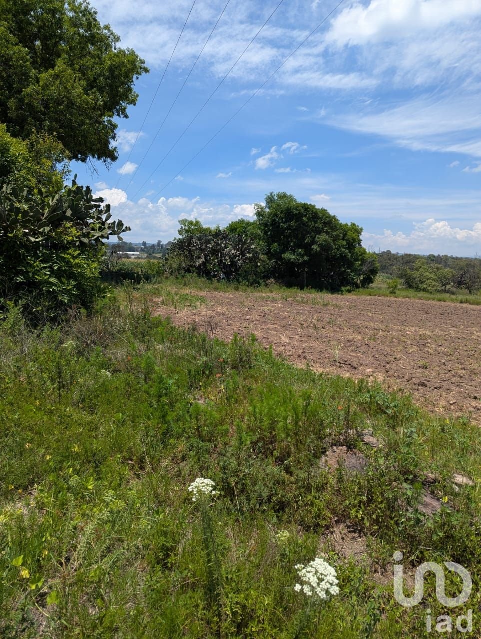 Terreno en venta, Amealco de Bonfil Terreno en venta, Amealco de Bonfil