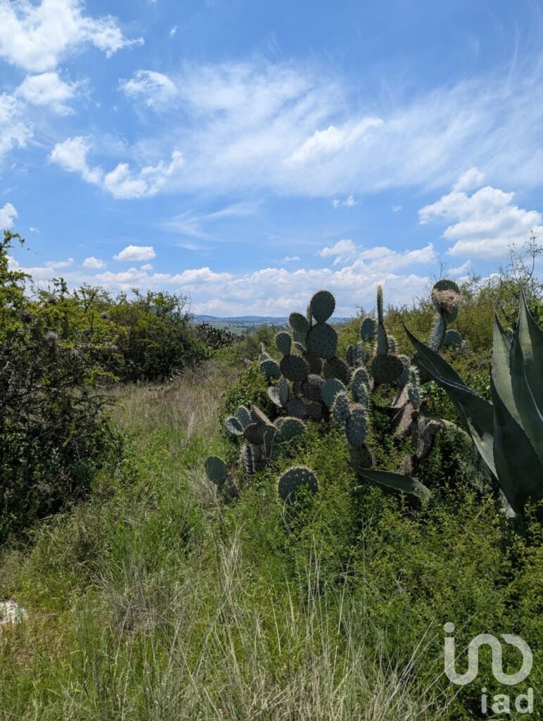 Terreno en venta, Amealco de Bonfil