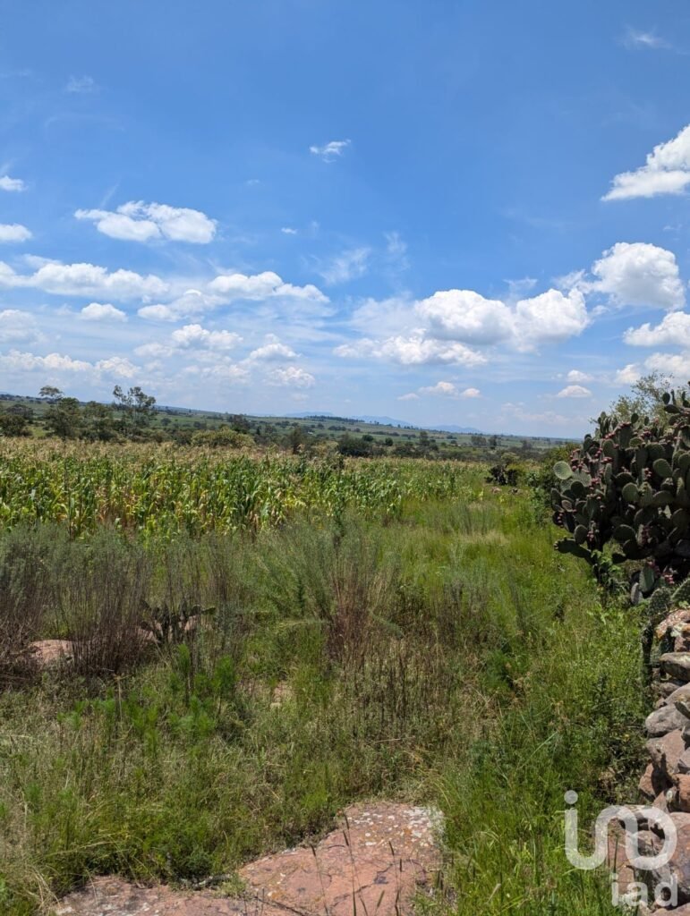 Terreno en venta, Amealco de Bonfil