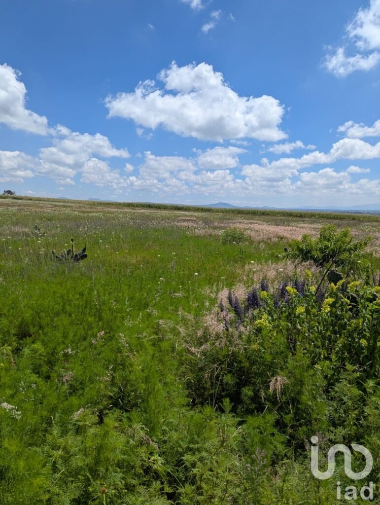 Terreno en Venta La Muralla, Amealco, Querétaro.