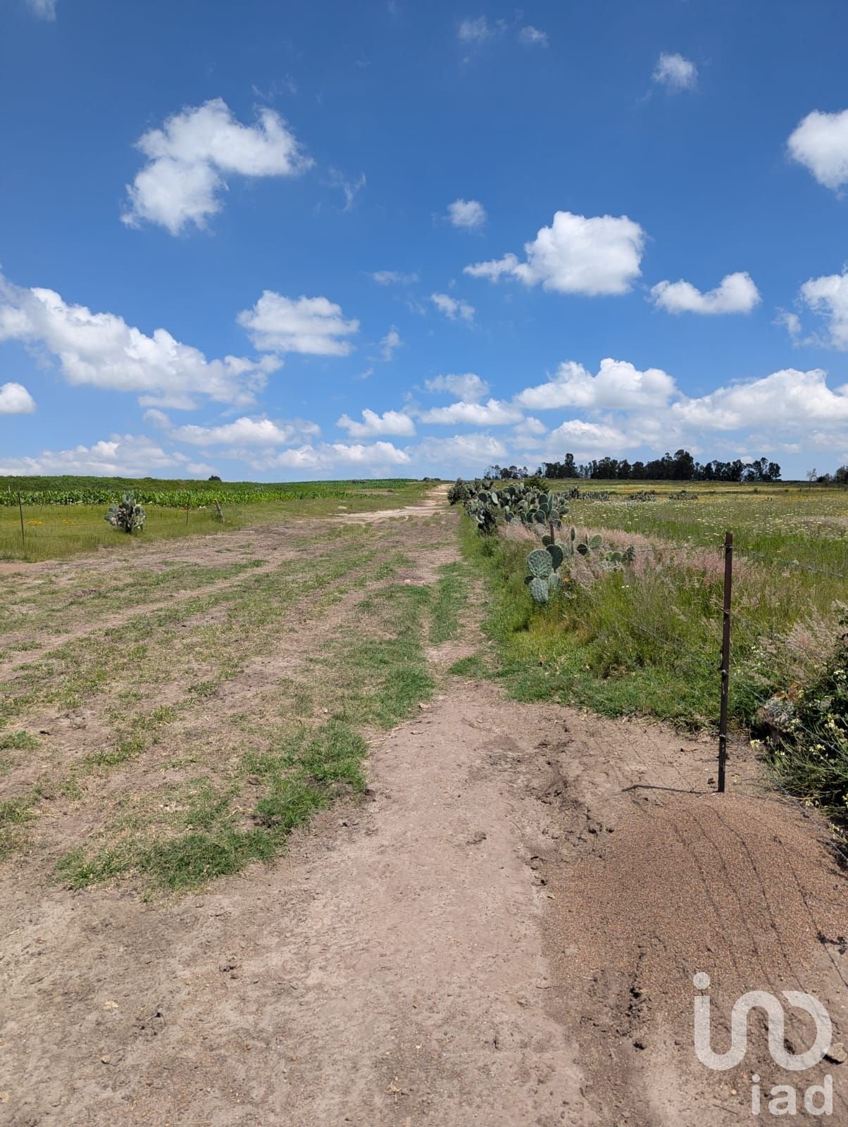 Terreno en Venta La Muralla, Amealco, Querétaro. Terreno en Venta La Muralla, Amealco, Querétaro.