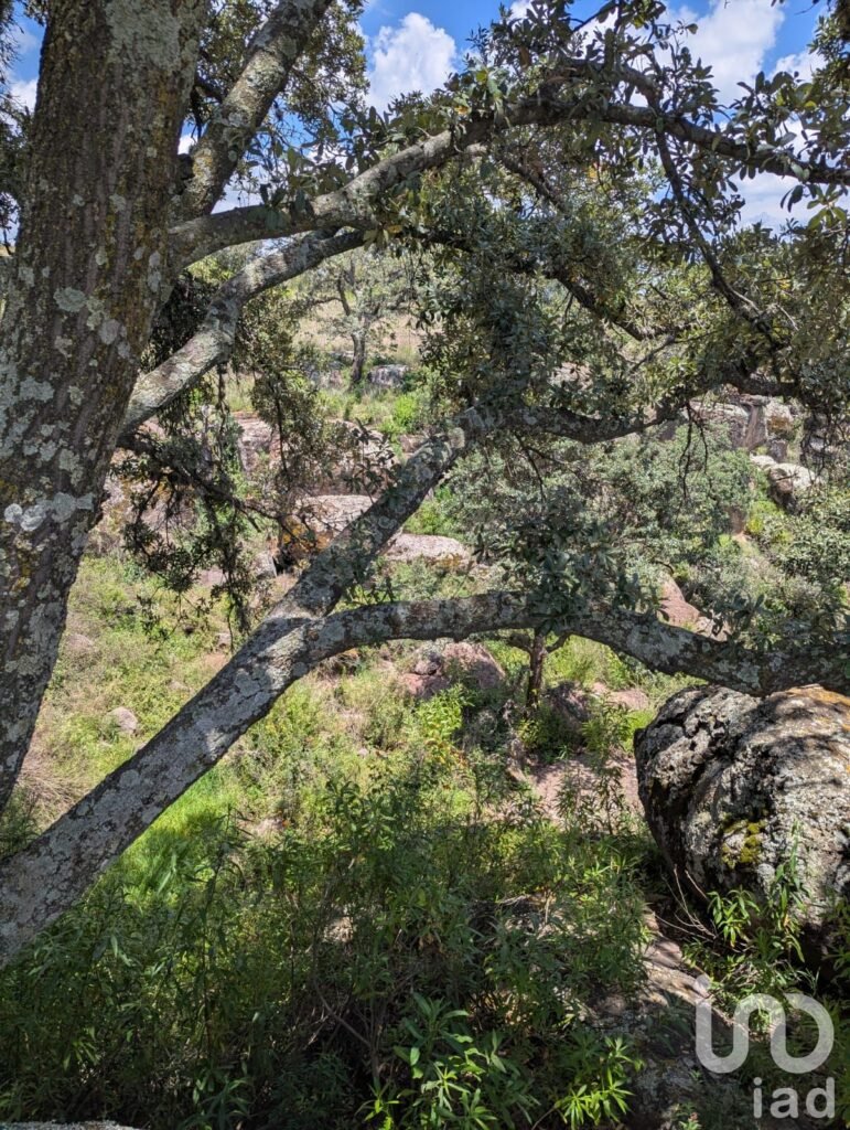 En Venta Terreno en  El Bothé, Querétaro.