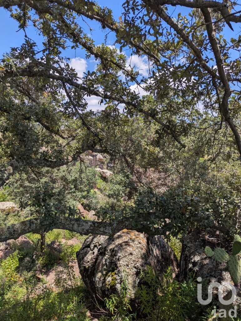 En Venta Terreno en  El Bothé, Querétaro.