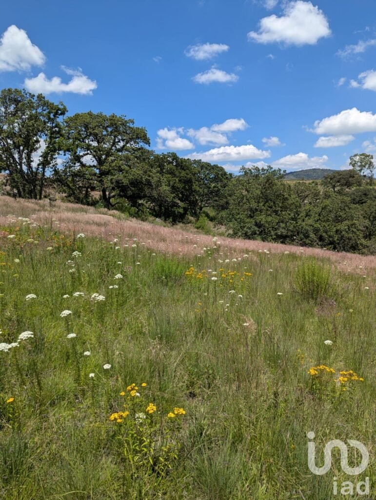 En Venta Terreno en  El Bothé, Querétaro.