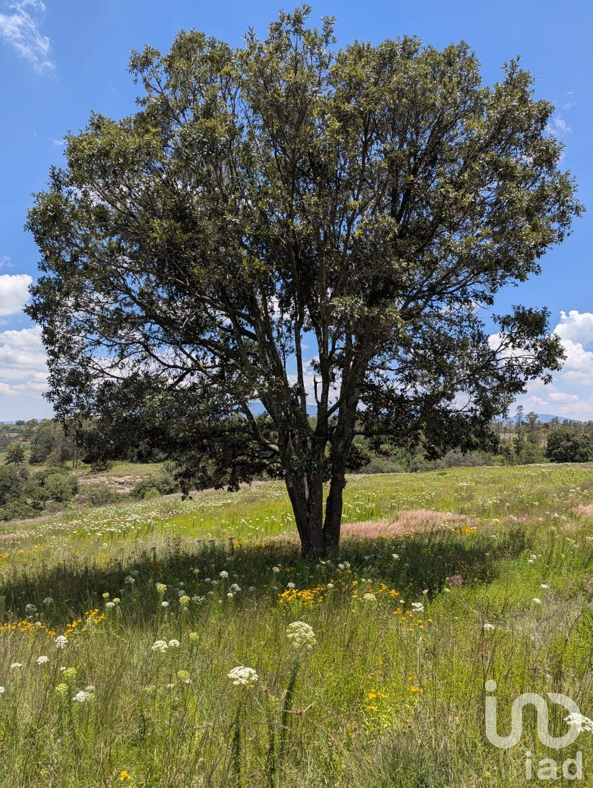 En Venta Terreno en El Bothé, Querétaro. En Venta Terreno en El Bothé, Querétaro.