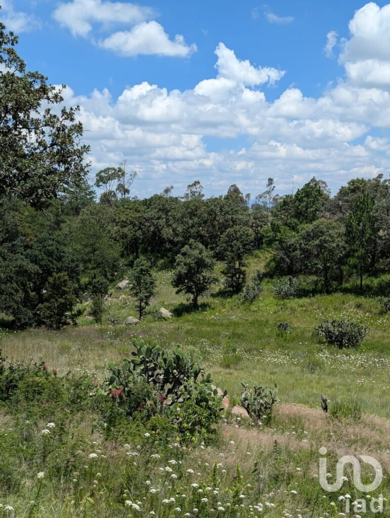En Venta Terreno en El Bothé, Querétaro.
