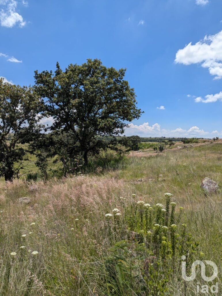En Venta Terreno en El Bothé, Querétaro.