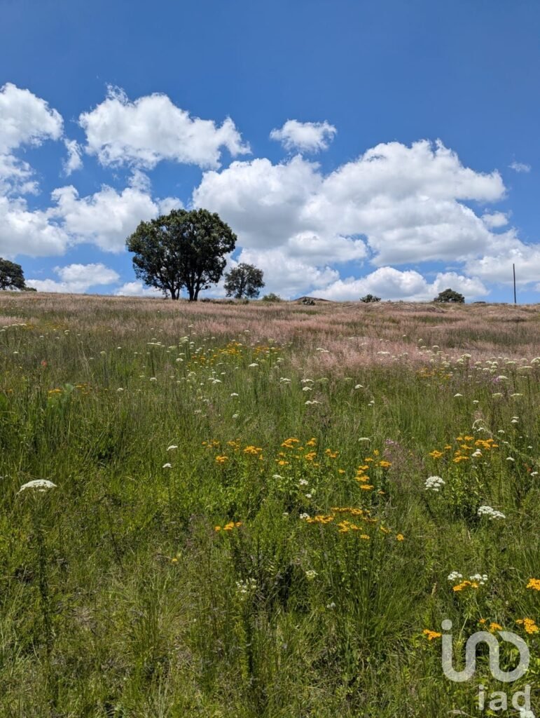 En Venta Terreno en El Bothé, Querétaro.