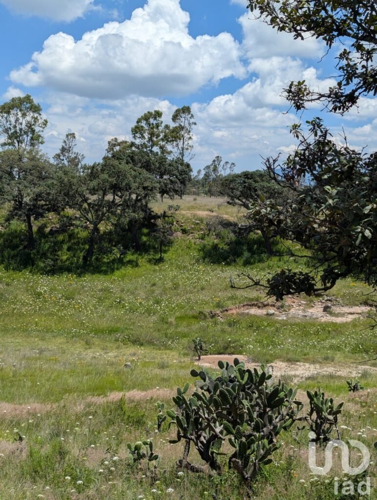 En Venta Terreno en El Bothé, Querétaro.