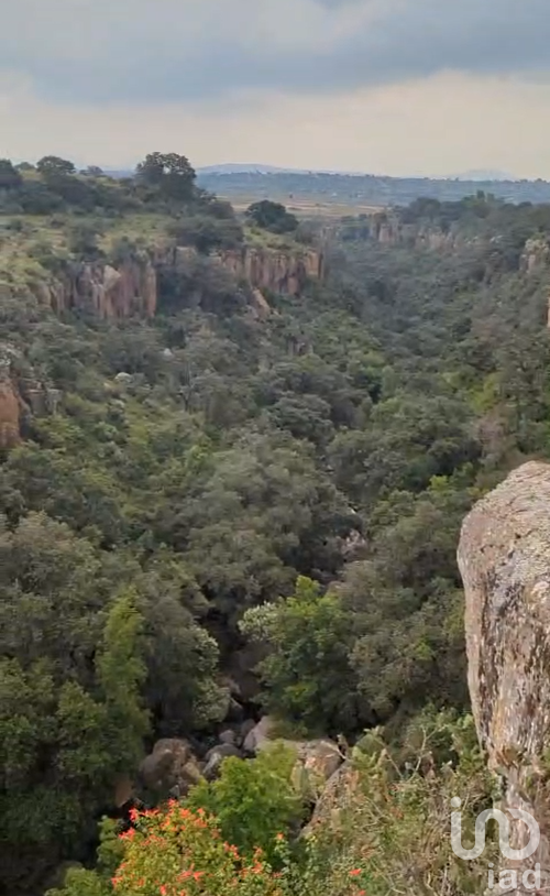 40 hectareas de terreno en San Juan del Rio QRO.