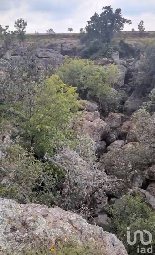 40 hectareas de terreno en San Juan del Rio QRO.