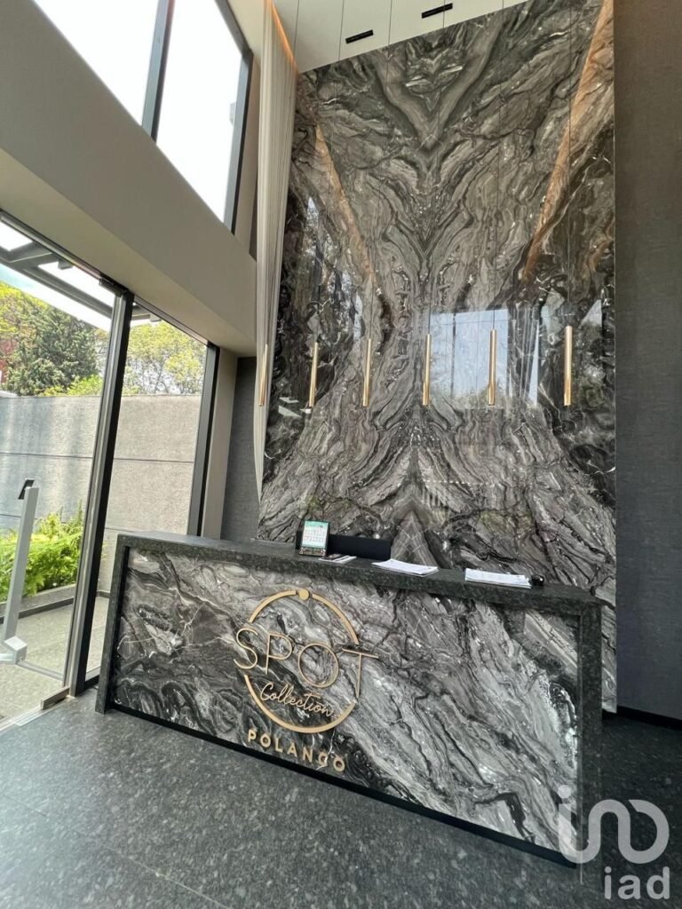 DEPARTAMENTO EN RENTA EN POLANCO AMUEBLADO