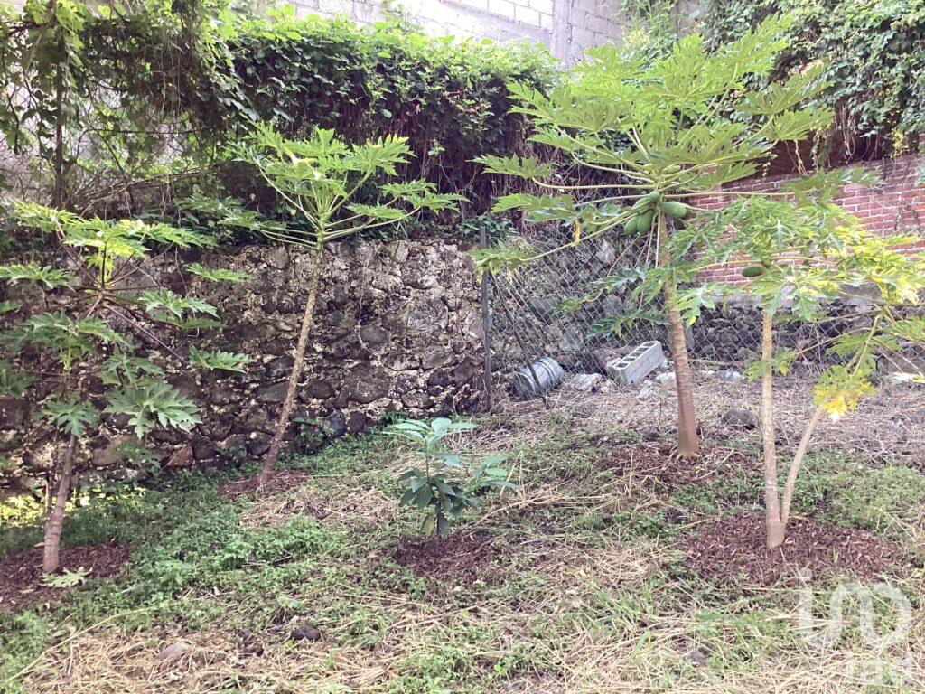 Las Brisas Casa de Oportunidad