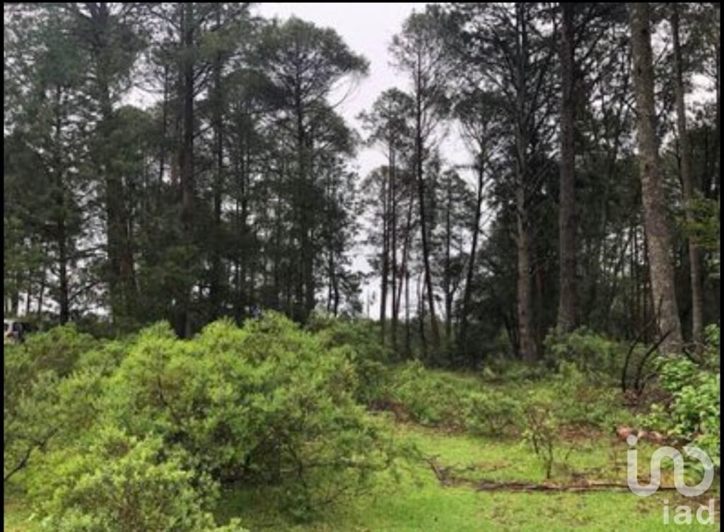 Lote campestre en medio del bosque en Omitlan