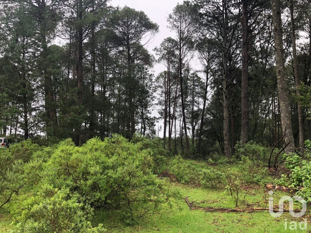 Lote campestre en medio del bosque en Omitlan