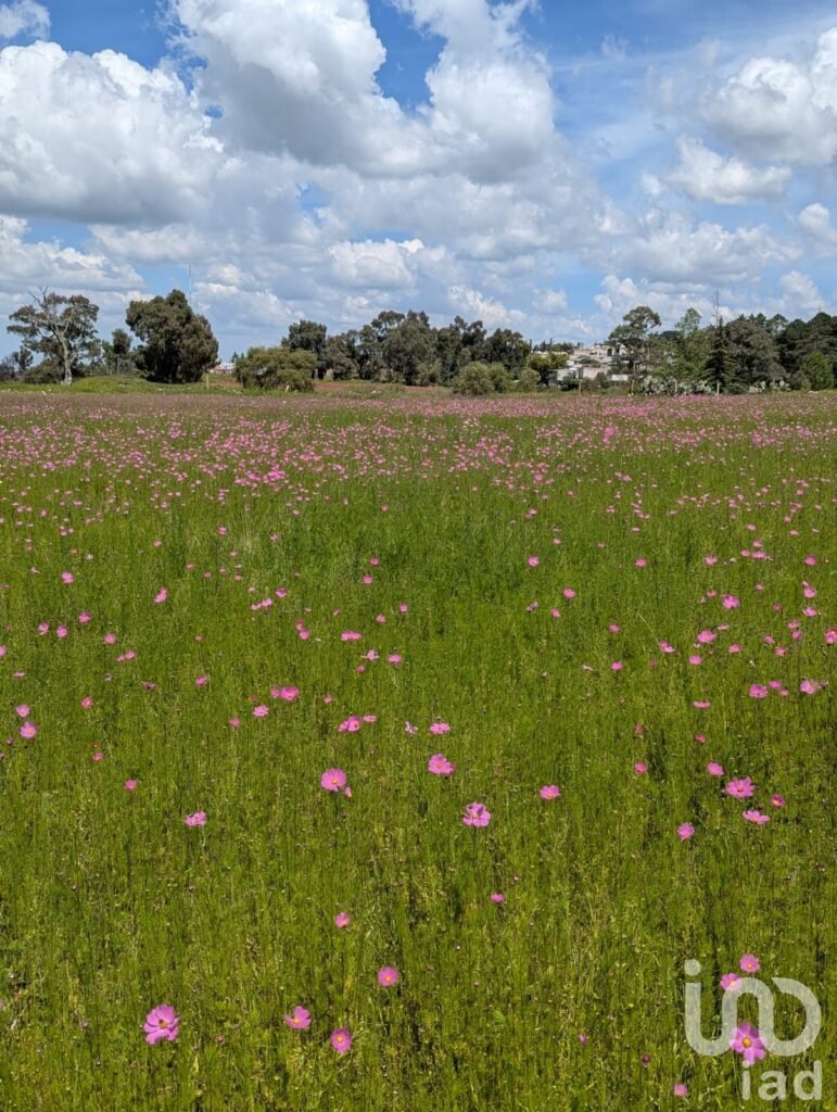 Terreno en venta en  San Juan Dehedó, Querétaro