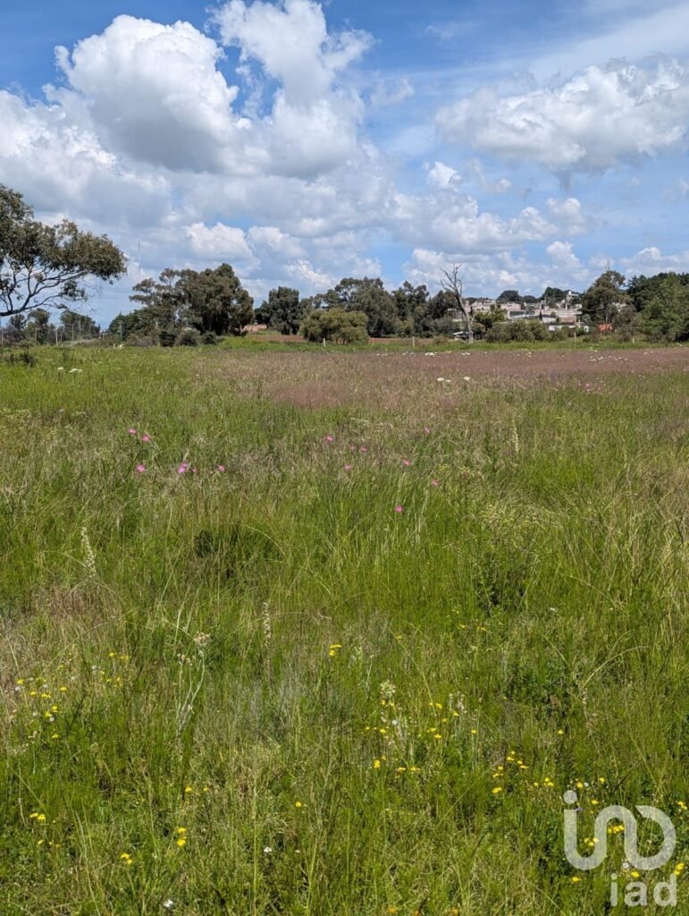 Terreno en venta en  San Juan Dehedó, Querétaro