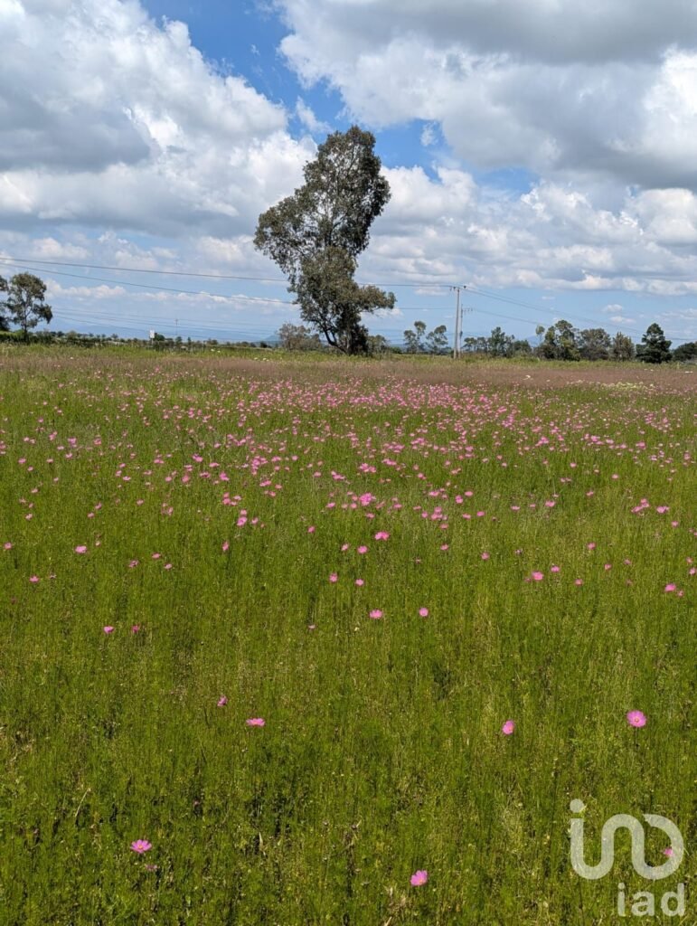 Terreno en venta en  San Juan Dehedó, Querétaro