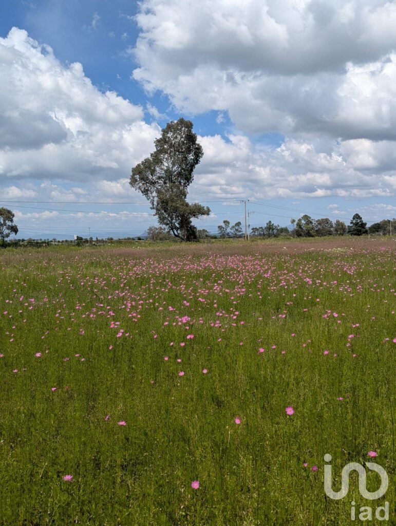 Terreno en venta en  San Juan Dehedó, Querétaro