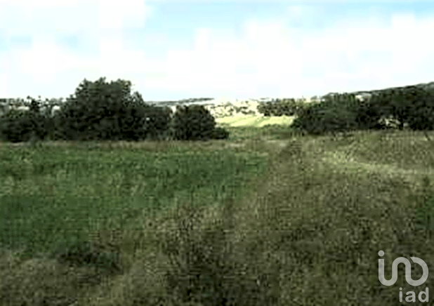 Venta de Terreno en Ixtacuixtla Tlaxcala 5.9 Hectáreas