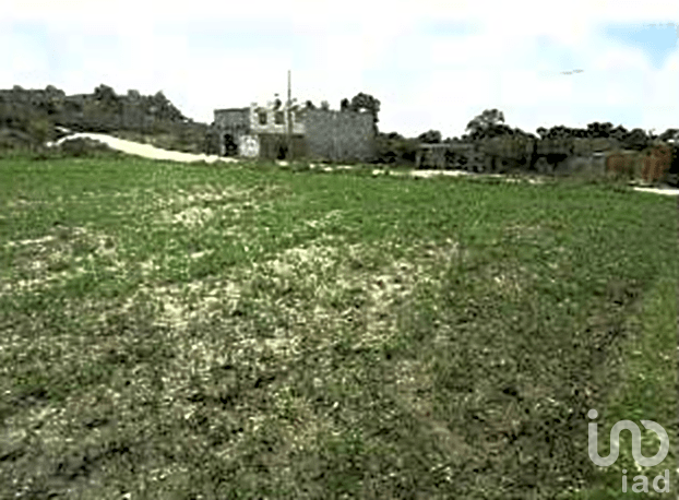 Venta de Terreno en Ixtacuixtla Tlaxcala 5.9 Hectáreas