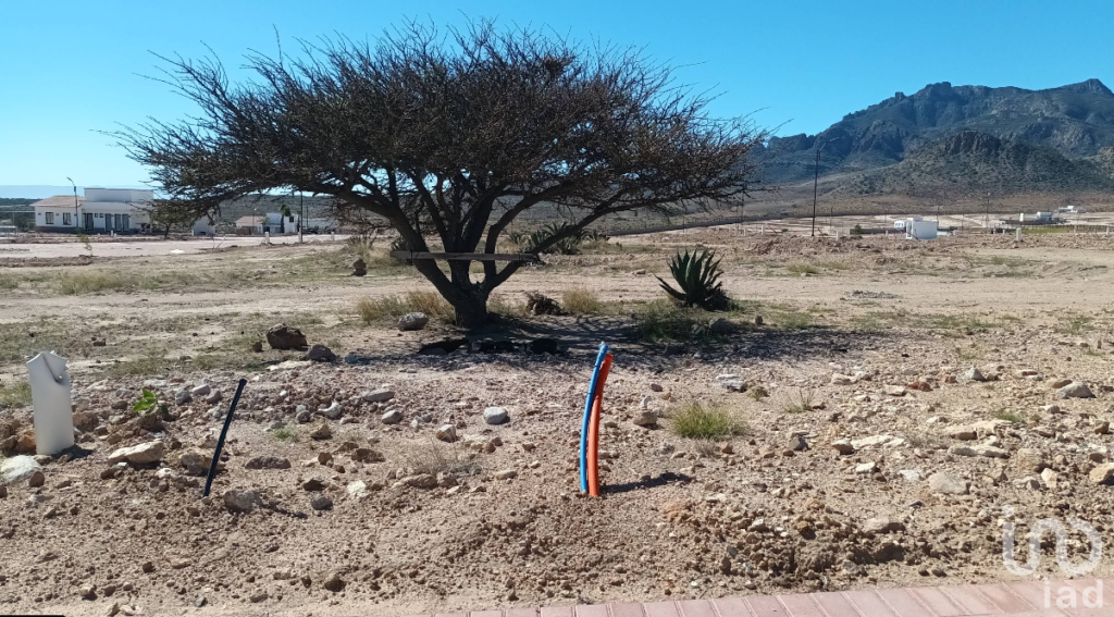 2 Terrenos Premium en Ciudad maderas San Luis Potosí