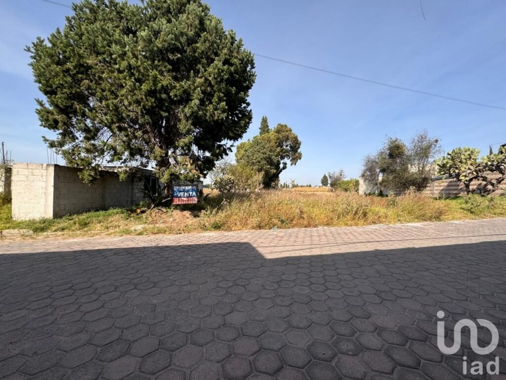 TERRENO  CENTRICO SANTA ISABEL XILOXOXTLA TLAXCALA