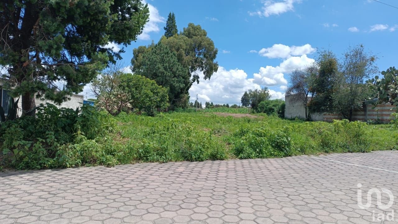 TERRENO  CENTRICO SANTA ISABEL XILOXOXTLA TLAXCALA
