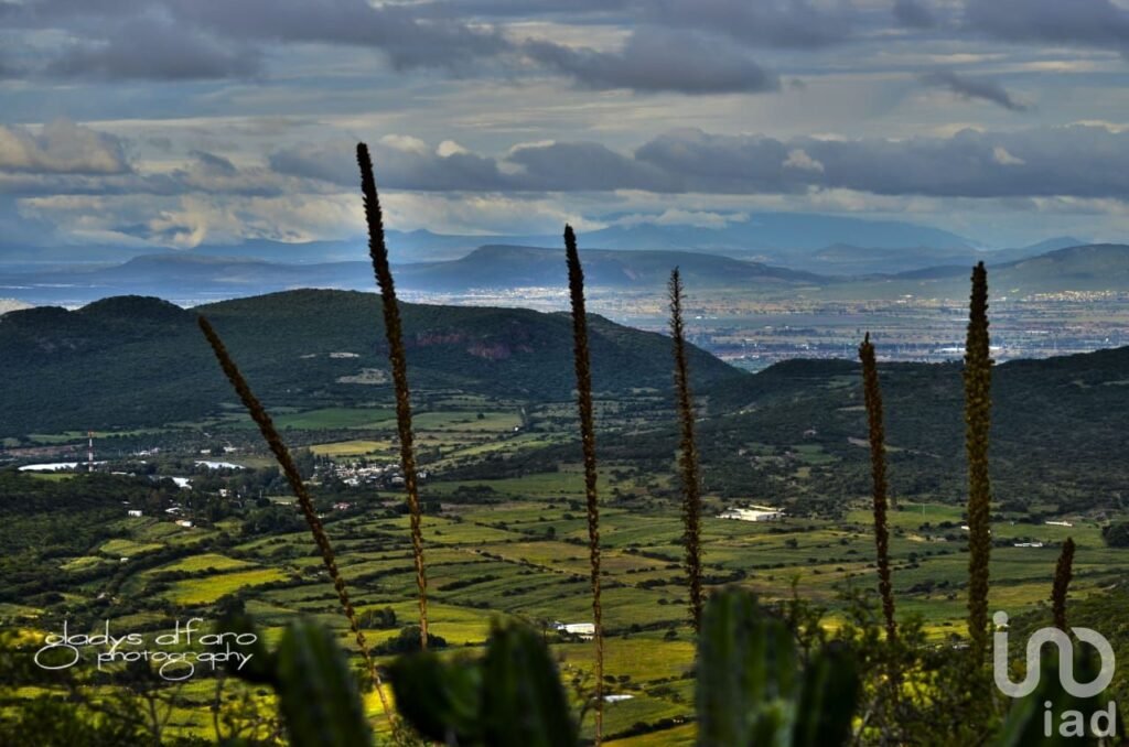 TERRENO RUSTICO EN VENTA ESCOLASTICAS  FRACCION 5