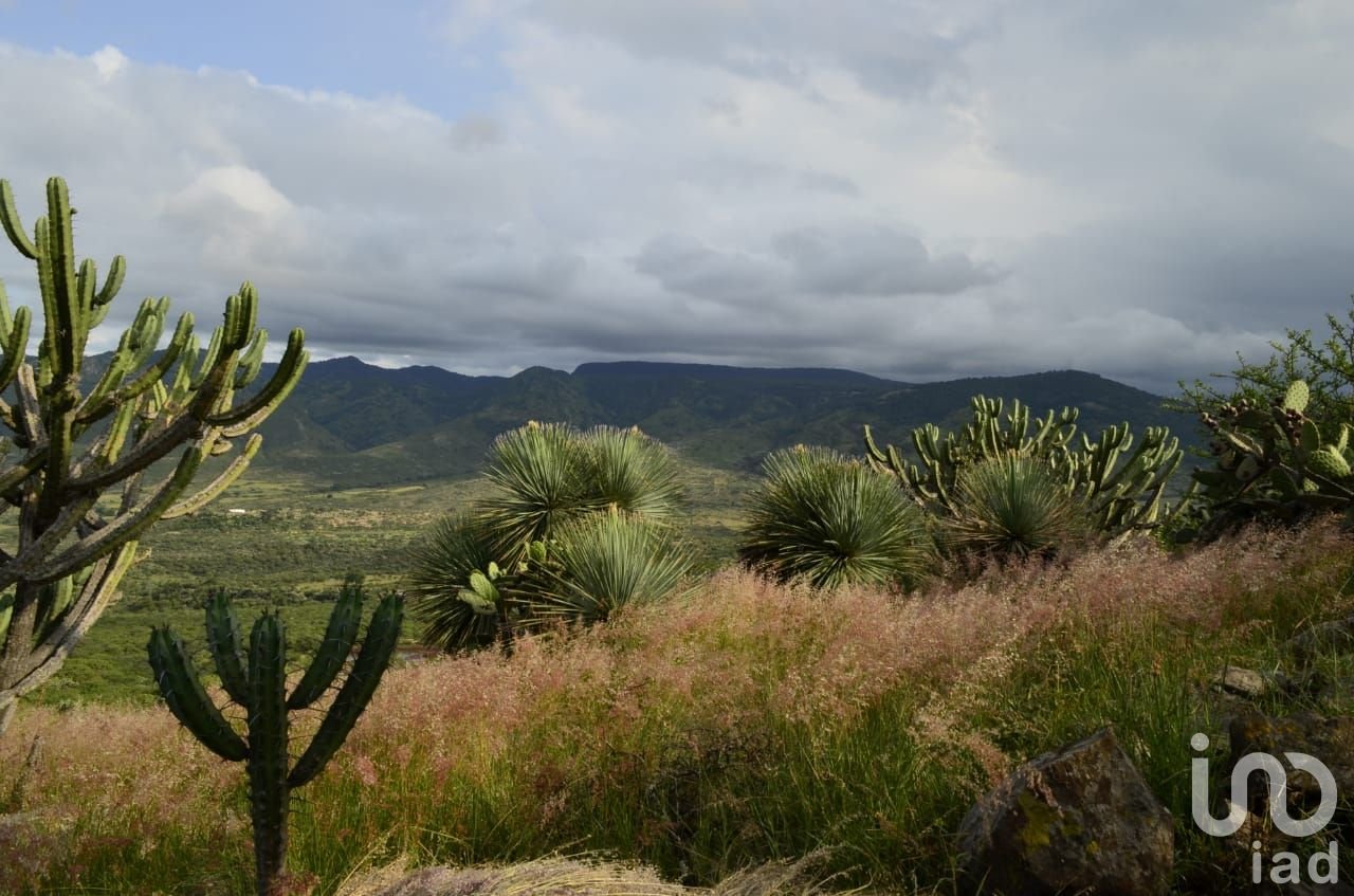 TERRENO RUSTICO EN VENTA ESCOLASTICAS  FRACCION 5
