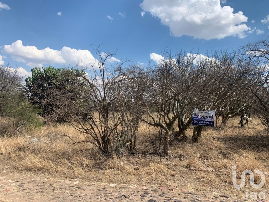 TERRENO RUSTICO  EN VENTA  RESIDENCIAL AMAZCALA