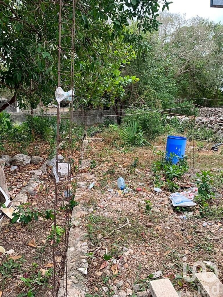 TERRENO CON CONSTRUCCIÓN EN EL CENTRO DE MERIDA, YUCATÁN