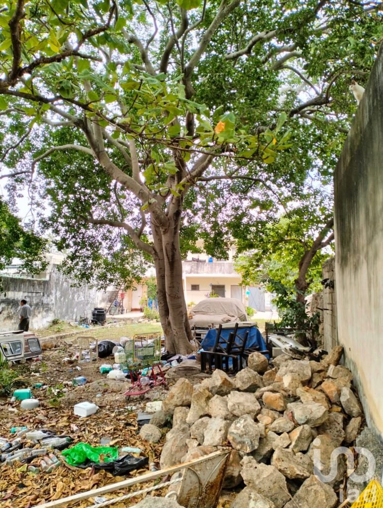 TERRENO CON CONSTRUCCIÓN EN EL CENTRO DE MERIDA, YUCATÁN
