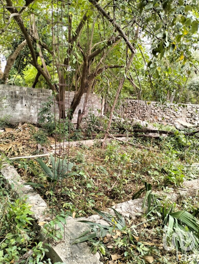 TERRENO CON CONSTRUCCIÓN EN EL CENTRO DE MERIDA, YUCATÁN