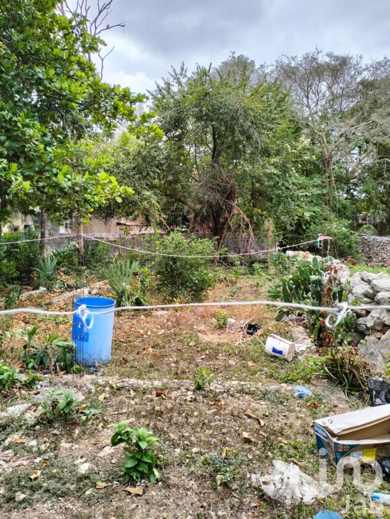 TERRENO CON CONSTRUCCIÓN EN EL CENTRO DE MERIDA, YUCATÁN