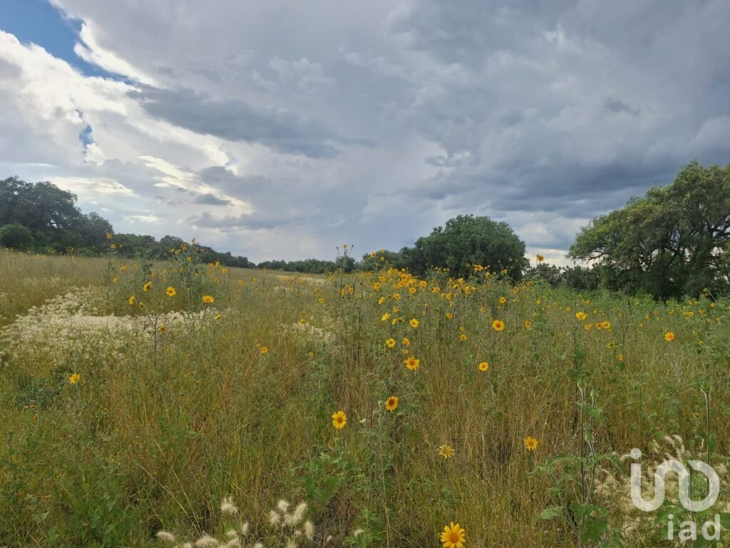 TERRENO EN VENTA ZUMPANGO ESTADO DE MEXICO