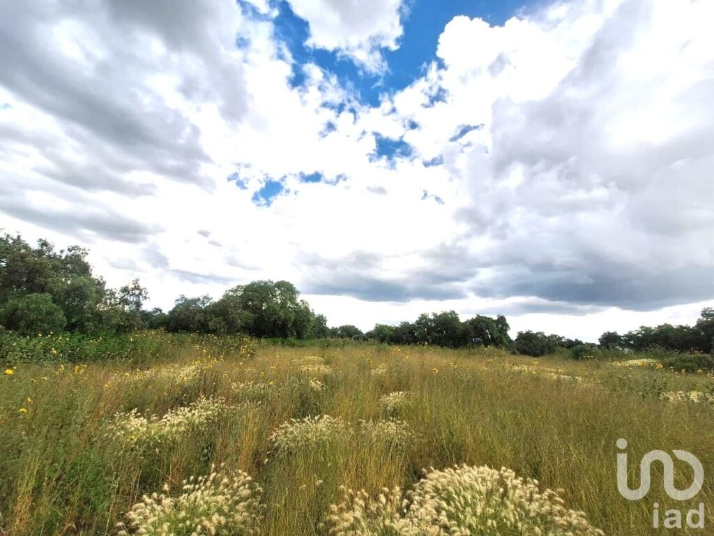 TERRENO EN VENTA ZUMPANGO ESTADO DE MEXICO