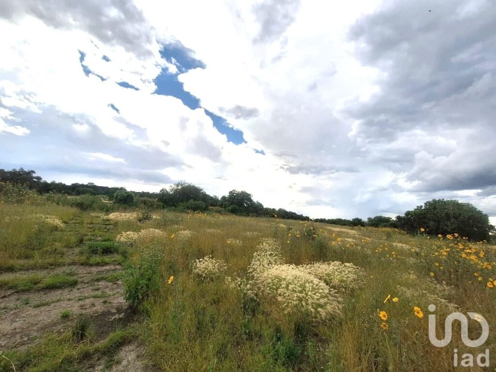TERRENO EN VENTA ZUMPANGO ESTADO DE MEXICO
